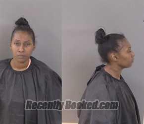 Recent Mugshot Image for Ashley Ann Pound in Indian River County, Florida