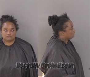 Recent Mugshot Image for Andriana Patricia Prince in Indian River County, Florida