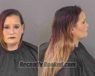 Recent Mugshot Image for Ayla Puente in Indian River County, Florida