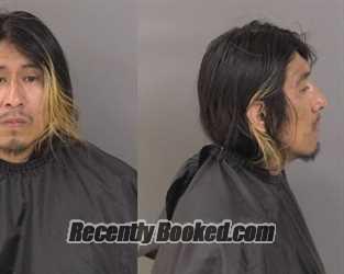 Recent Mugshot Image for Ian Lyle Anderson in Indian River County, Florida