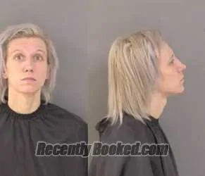 Recent Mugshot Image for Annastacia Marie Clifford in Indian River County, Florida