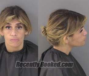 Recent Mugshot Image for Danielle Marie Dagbolen in Indian River County, Florida