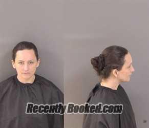 Recent Mugshot Image for Denise Nicole Smith in Indian River County, Florida