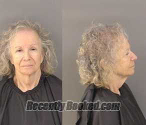 Recent Mugshot Image for Constance Ann Clowdus in Indian River County, Florida