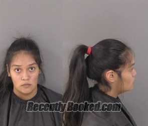 Recent Mugshot Image for Samantha Gabriella Martinez in Indian River County, Florida