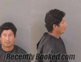 Recent Mugshot Image for Rosal Pelcastre in Indian River County, Florida