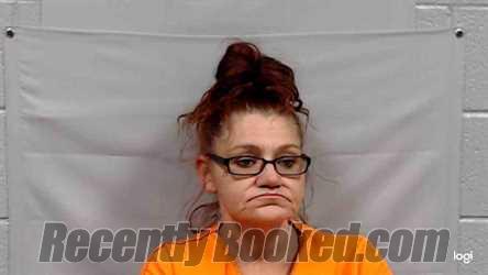 Recent Mugshot Image for Mary Ellen Mcguire in Summers County, West Virginia