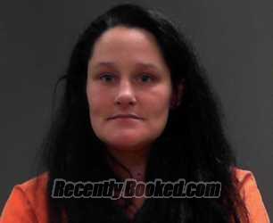 Recent Booking / Mugshot for Amber Lynn Ellenwood in Tyler County, West