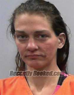 Recent Mugshot Image for Maranda Dawn McElroy in Wood County, West Virginia
