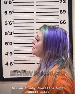 Recent Booking Mugshot For Tabitha Lynn Foss In Barron County ...