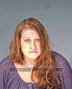 Recent Mugshot Image for DANNIELLE M SCHREIER in Dodge County, Wisconsin