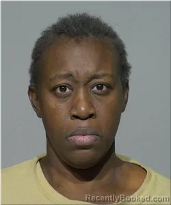 Recent Mugshot Image for Shelley Johnson in Milwaukee County, Wisconsin
