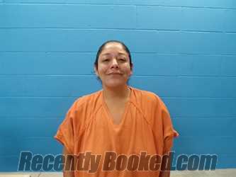 Recent Mugshot Image for ANGEL LYNN DAVILA in Guadalupe County, Texas