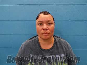 Recent Mugshot Image for MARIA RICE in Guadalupe County, Texas