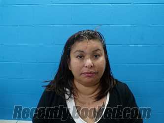 Recent Mugshot Image for AMY MARIE RODRIGUEZ in Guadalupe County, Texas