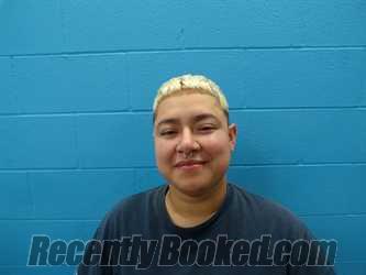 Recent Mugshot Image for JAILENE ALEXA JUAREZ in Guadalupe County, Texas