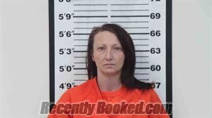 Recent Mugshot Image for ANETTE ELYCE DAVIS in Lincoln County, Wyoming
