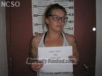 Recent Mugshot Image for TAMIRA LYNN CLARKE in Niobrara County, Wyoming