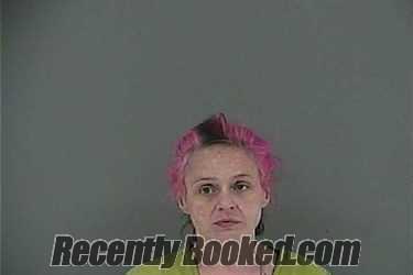 Recent Booking / Mugshot for AMBER RENAE TILSON in Anderson County