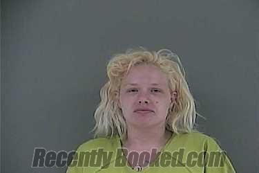 Recent Mugshot Image for SHELBY M LANE in Anderson County, Tennessee