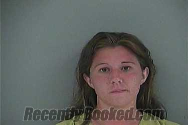 Recent Booking / Mugshot for BRITTANY D RIGGS in Anderson County, Tennessee