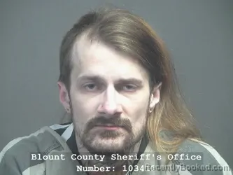 Recent Mugshot Image for DAGON CONNOR SEAGRAVES in Blount County, Tennessee