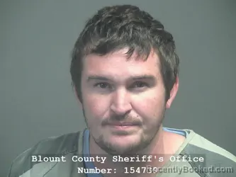 Recent Mugshot Image for AARON JAMES MUSE in Blount County, Tennessee
