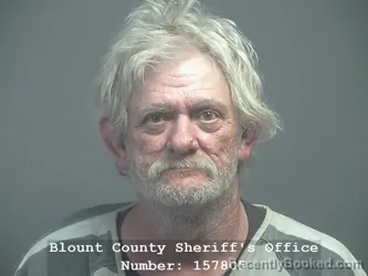 Recent Mugshot Image for RICKY WILLARD JENKINS in Blount County, Tennessee