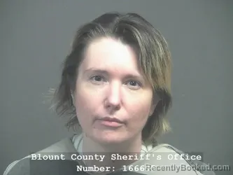 Recent Mugshot Image for ASHLEY MARIE MCDONALD in Blount County, Tennessee