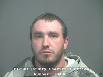 Recent Mugshot Image for CODY HOWARD BROWN in Blount County, Tennessee