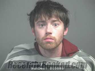 Recent Mugshot Image for JOSHUA ALLEN SMALL in Blount County, Tennessee