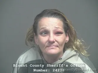 Recent Mugshot Image for PAULA KAY HILL in Blount County, Tennessee