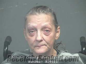 Recent Mugshot Image for LYNN MARIE NIETO in Blount County, Tennessee