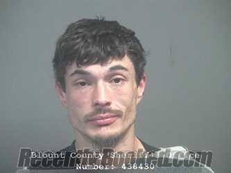 Recent Mugshot Image for JOSHUA ELDRIDGE MARTIN in Blount County, Tennessee