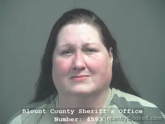 Recent Mugshot Image for JULIE ANN WRIGHT in Blount County, Tennessee