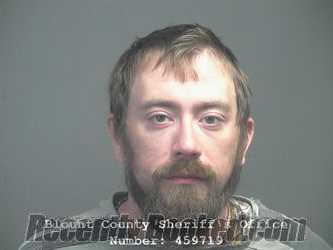Recent Mugshot Image for DEAN BOOKOUT JOHNSON in Blount County, Tennessee