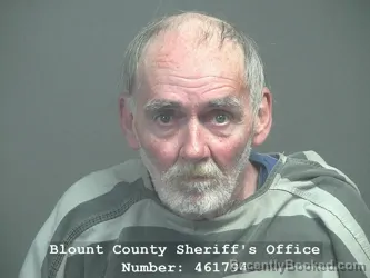 Recent Mugshot Image for STEPHEN W STRINGFIELD in Blount County, Tennessee