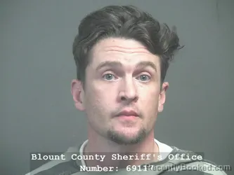 Recent Mugshot Image for MICHAEL JAMES WILSON in Blount County, Tennessee