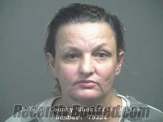 Recent Mugshot Image for PAMELA LYNN HUNLEY in Blount County, Tennessee