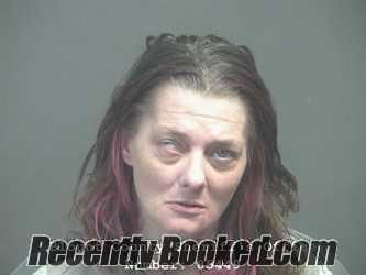 Recent Mugshot Image for BRANDY NICOLE BURRELL in Blount County, Tennessee