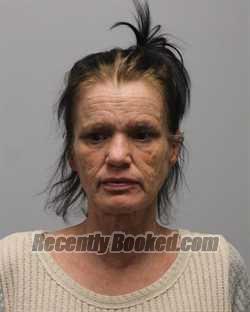 Recent Mugshot Image for LISA MARIE MARTIN FARRIS in Bradley County, Tennessee