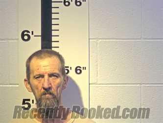 Recent Mugshot Image for STEVEN E ELLIS in Claiborne County, Tennessee