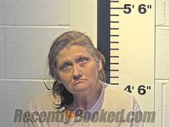 Recent Mugshot Image for CHRISTINA M FRENCH in Claiborne County, Tennessee