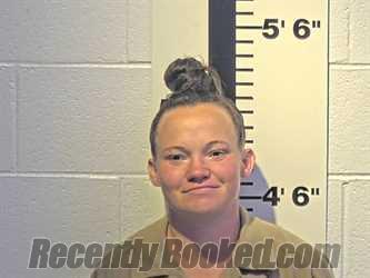 Recent Mugshot Image for CRYSTAL L GASTINS in Claiborne County, Tennessee