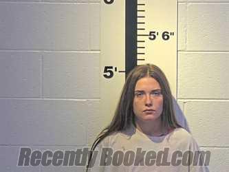 Recent Mugshot Image for ABIGAIL E HOWARD in Claiborne County, Tennessee