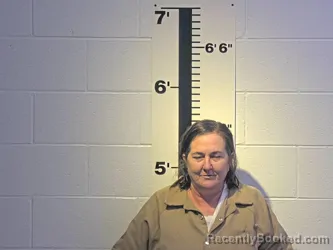 Recent Mugshot Image for PAMELA J THOMAS in Claiborne County, Tennessee