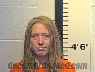 Recent Mugshot Image for NATIA M WELLS in Claiborne County, Tennessee