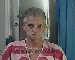 Recent Mugshot Image for SHERRY RENEE GODSEY in Cocke County, Tennessee