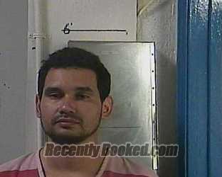 Recent Mugshot Image for CAMILO EDUARDO PRIAS in Cocke County, Tennessee