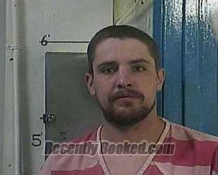 Recent Mugshot Image for MCKEAL JAMES NICHOLS in Cocke County, Tennessee